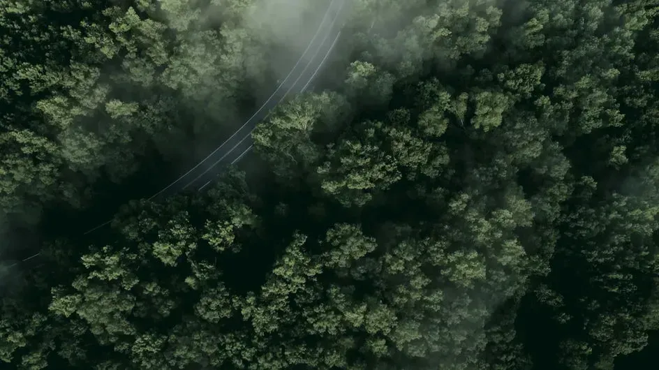 Aerial View Of Forest And Road - 1031 Luxury Exchange