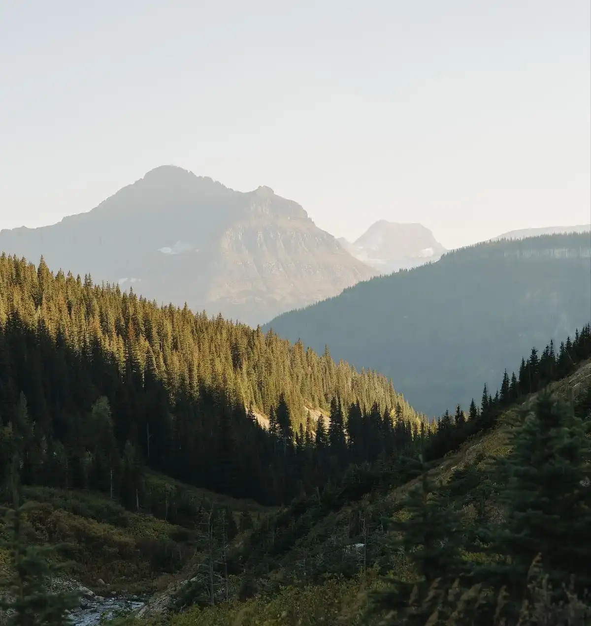 1031 Exchange and Short-Term Rentals: Airbnb and Vacation Rental Property